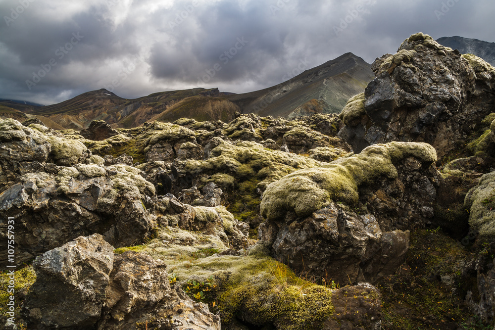 Moss covered rocks in the lava field Laugahraun, Landmannalaugar, Iceland.