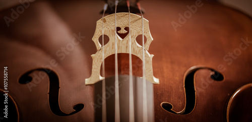 Fotobehang Cello strings closeup