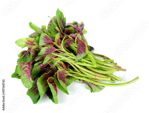 spinach isolated on white background