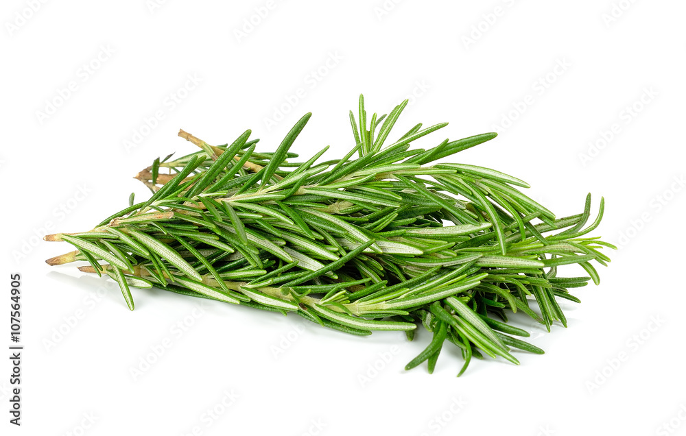 rosemary isolated on the white background rosemary isolated on the white background
