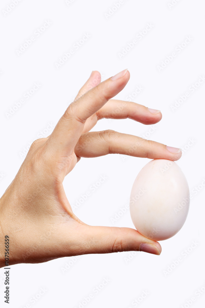 hand show egg isolated on white background hand show egg isolated on white background