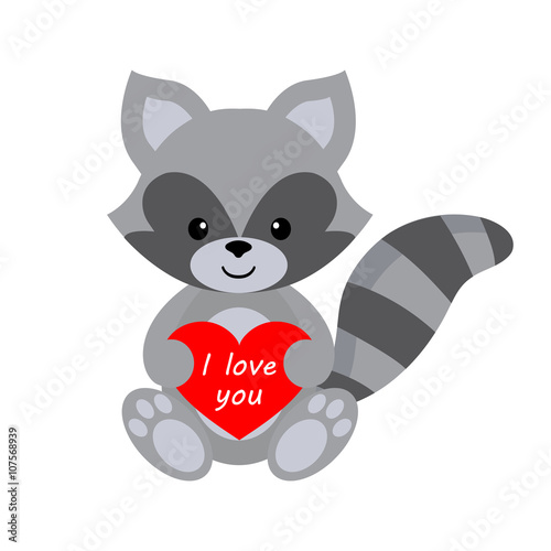 raccoon