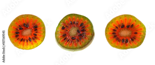 Hardy Kiwifruit