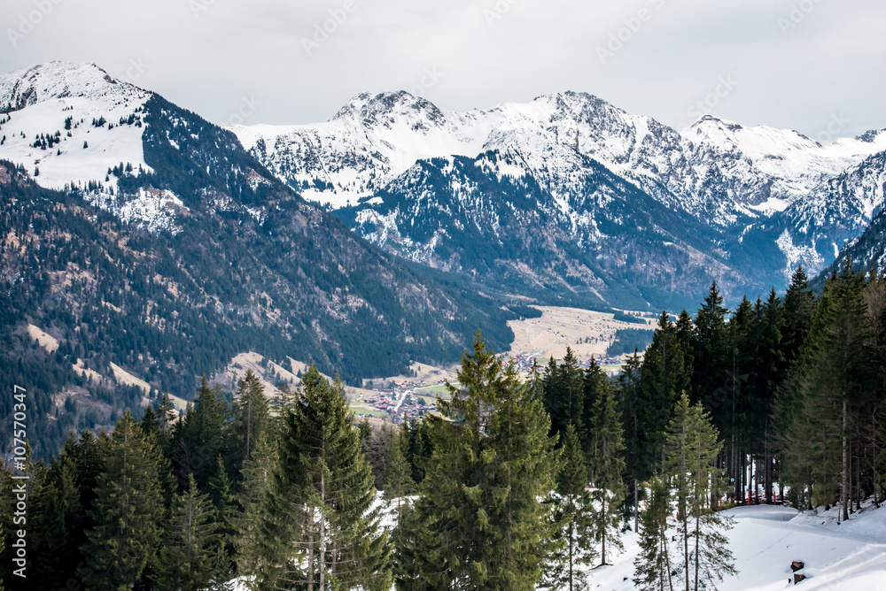 fir trees and mountains in Germany