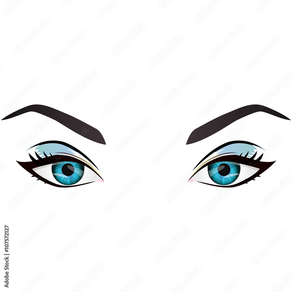 Realistic cartoon vector female eyes and eyebrows Realistic cartoon vector female eyes and eyebrows