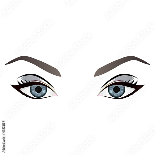 Realistic cartoon vector female eyes and eyebrows