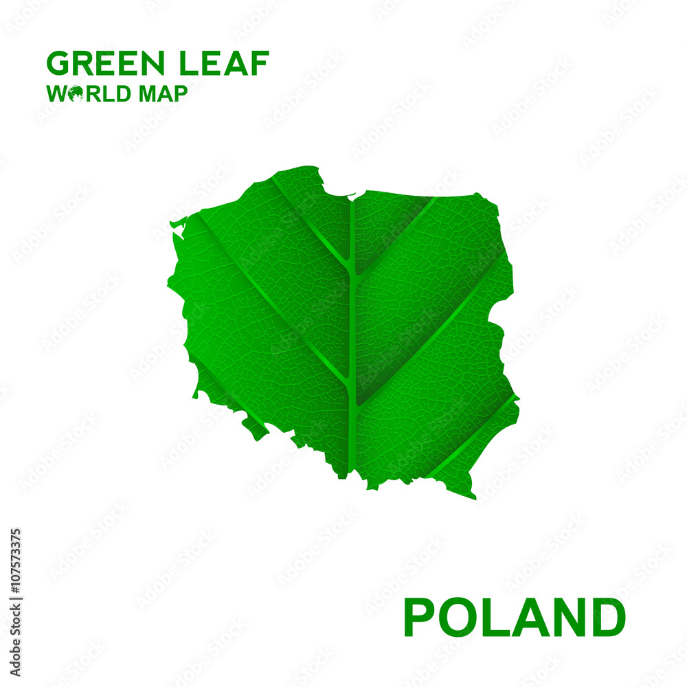 Obraz premium Map Of Poland,Nature green leaf, vector illustration