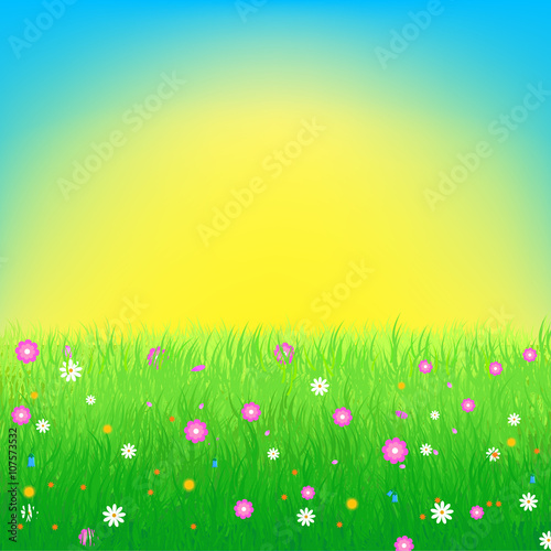 Meadow with flowers background © Olga K