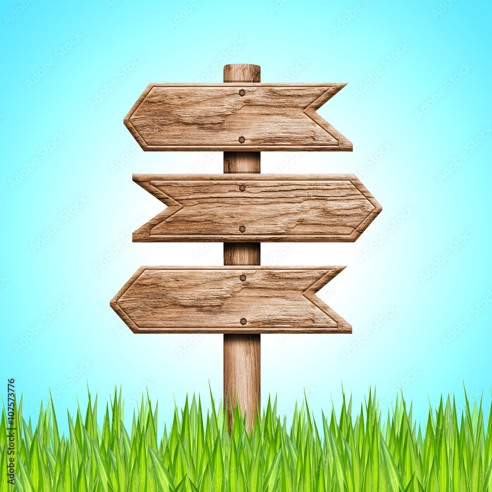 Naklejka premium Wood sign in green grass on sky background