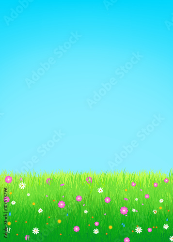 Meadow with flowers background