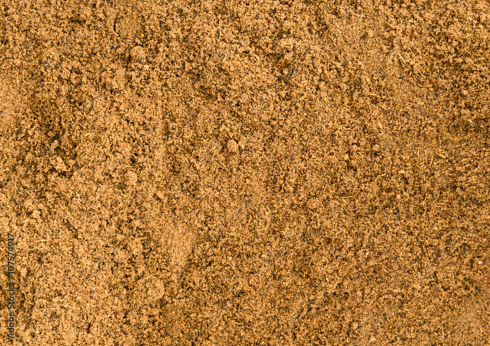 Garam Masala spice