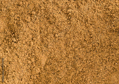 Obraz na płótnie Garam Masala spice w salonie