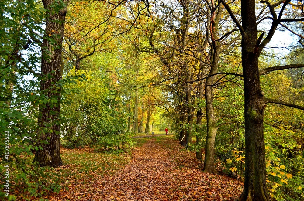 Naklejka premium Autumn in the city Park.