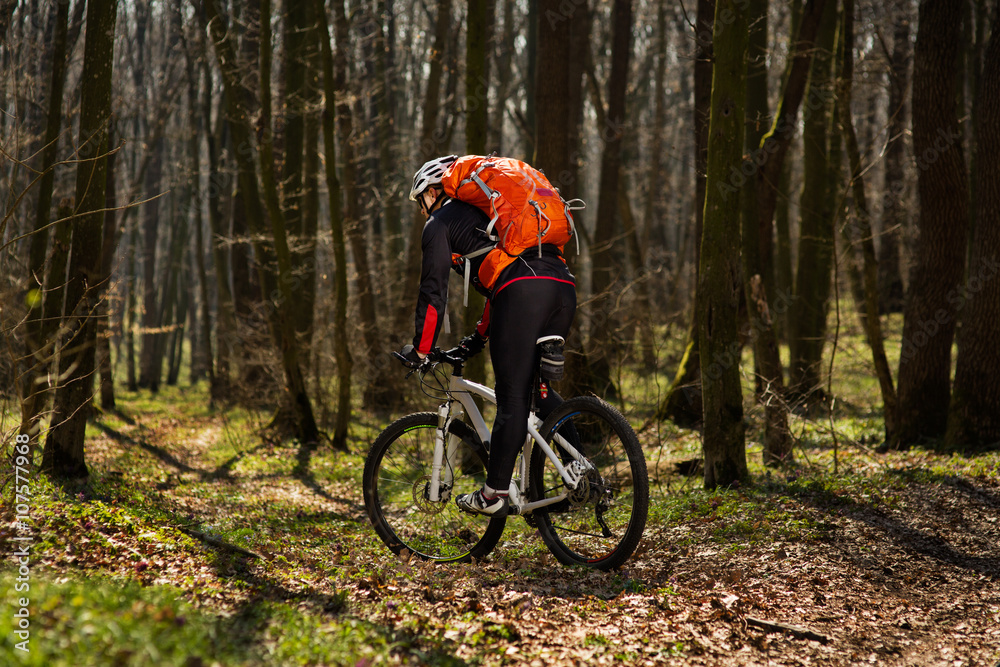 Mountain biker riding on bike in springforest landscape. 