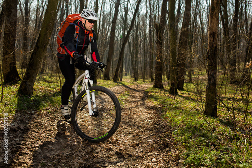 Mountain biker riding on bike in springforest landscape. 