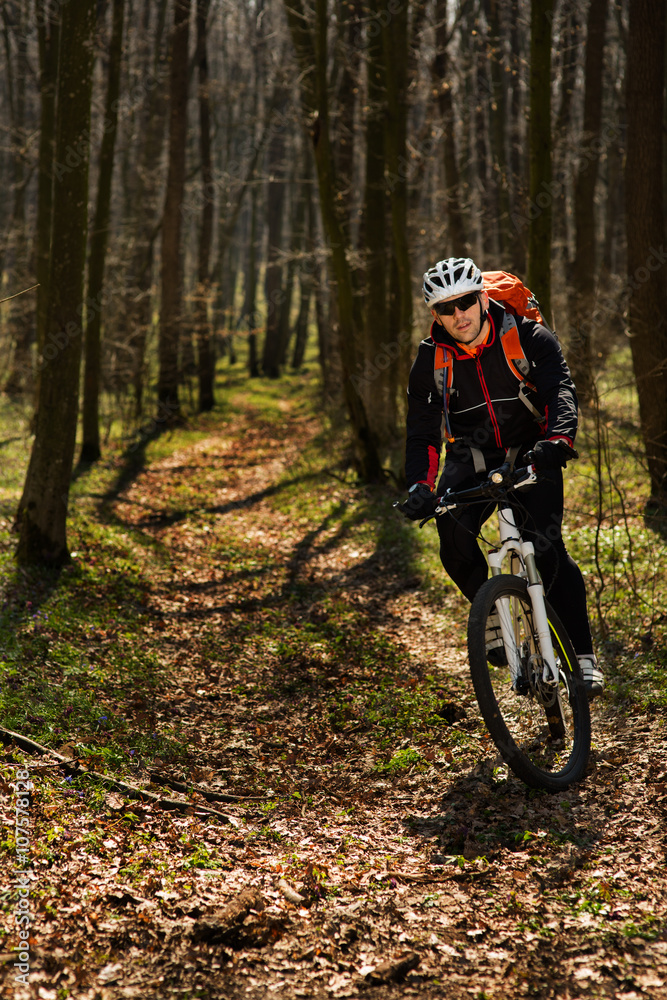 Mountain biker riding on bike in springforest landscape. Mountain biker riding on bike in springforest landscape.