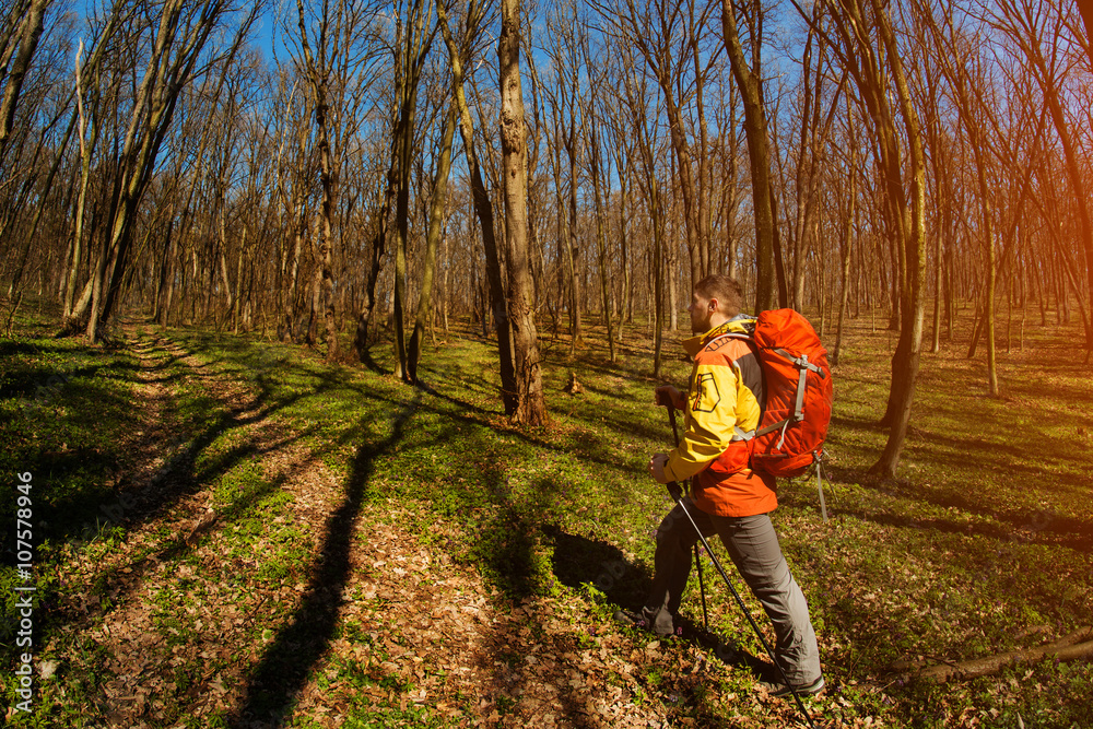 Active healthy man hiking in beautiful forest Active healthy man hiking in beautiful forest