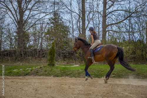Woman Practicing on Hunter Jumper Horse in Ring