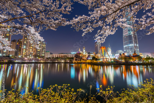 Photography cherry blossom of Spring in Lotte World amusement park at night