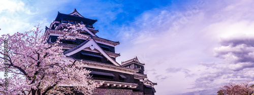 熊本城と桜
