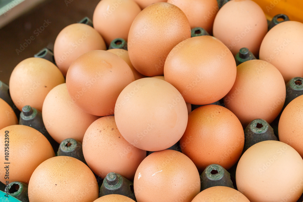 Egg, Chicken Egg Egg, Chicken Egg