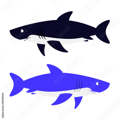 Shark vector illustration. Isolated aggressive sea carnivore