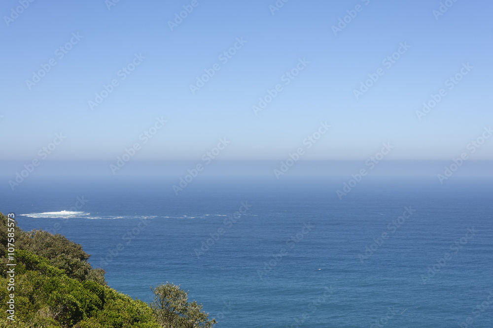 Seaside plants and blue sky background Seaside plants and blue sky background
