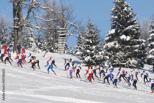 LIBEREC, CZECH REPUBLIC - APRIL 3, 2016: Group of cross country skiers running in forest for a win. Race runners at he the start of winter cross-country tracks trail.