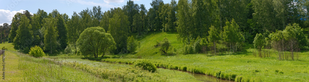 Fototapeta premium Bright green landscape of small river valley in Khotkovo, Russia
