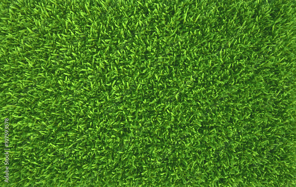 Green grass. natural background texture. fresh spring green grass Green grass. natural background texture. fresh spring green grass