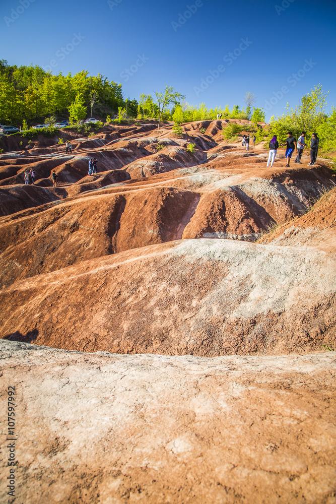 Obraz premium The Cheltenham Badlands in Caledon ontario, Canada