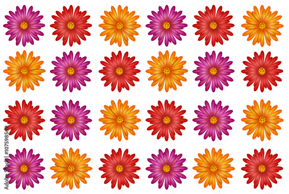Flowers colorful pattern Flowers colorful pattern