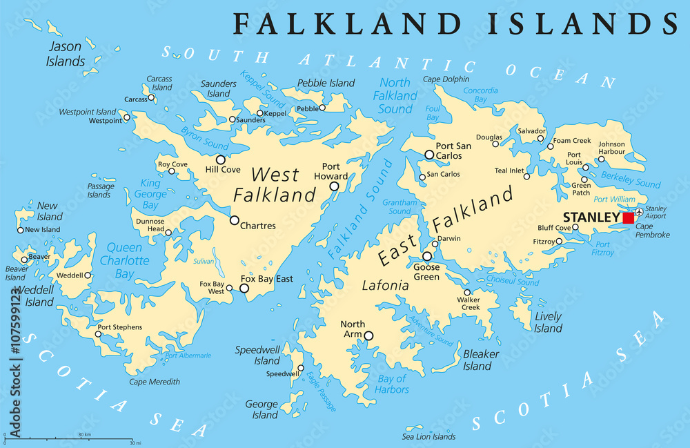 Falkland Islands, also Malvinas, political map with capital Stanley,  administered under United Kingdom, claimed by Argentina. English labeling  and scaling. Illustration. Stock Vector | Adobe Stock