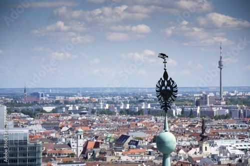 Aerial view of Vienna with bird on tower of Stephansdom