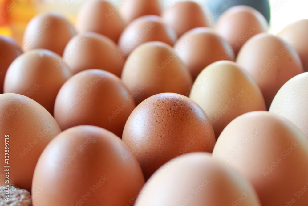 composition of chicken eggs that are in storage and ready to be distributed composition of chicken eggs that are in storage and ready to be distributed
