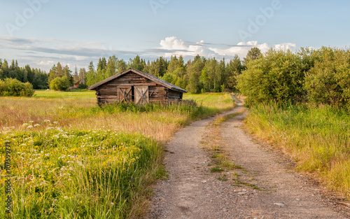 Traditional hay barn near Kalix during a summer evening in northern Sweden © rolf_52