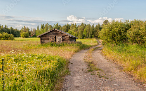 Traditional hay barn near Kalix during a summer evening in northern Sweden photo