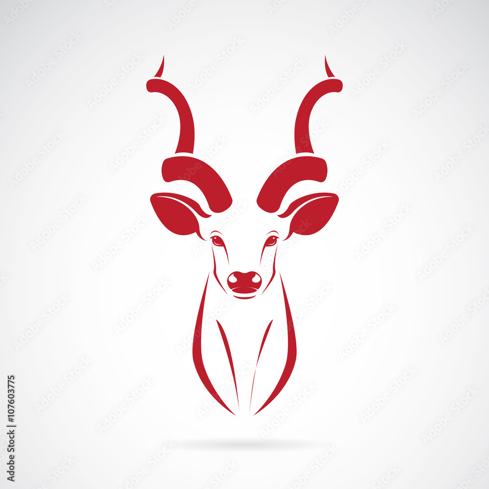 Fototapeta premium Vector image of an kudu antelope horns on white background
