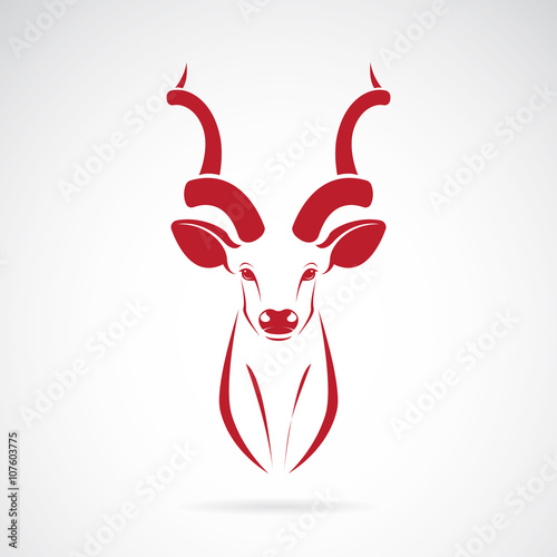 Vector image of an kudu antelope horns on white background photo