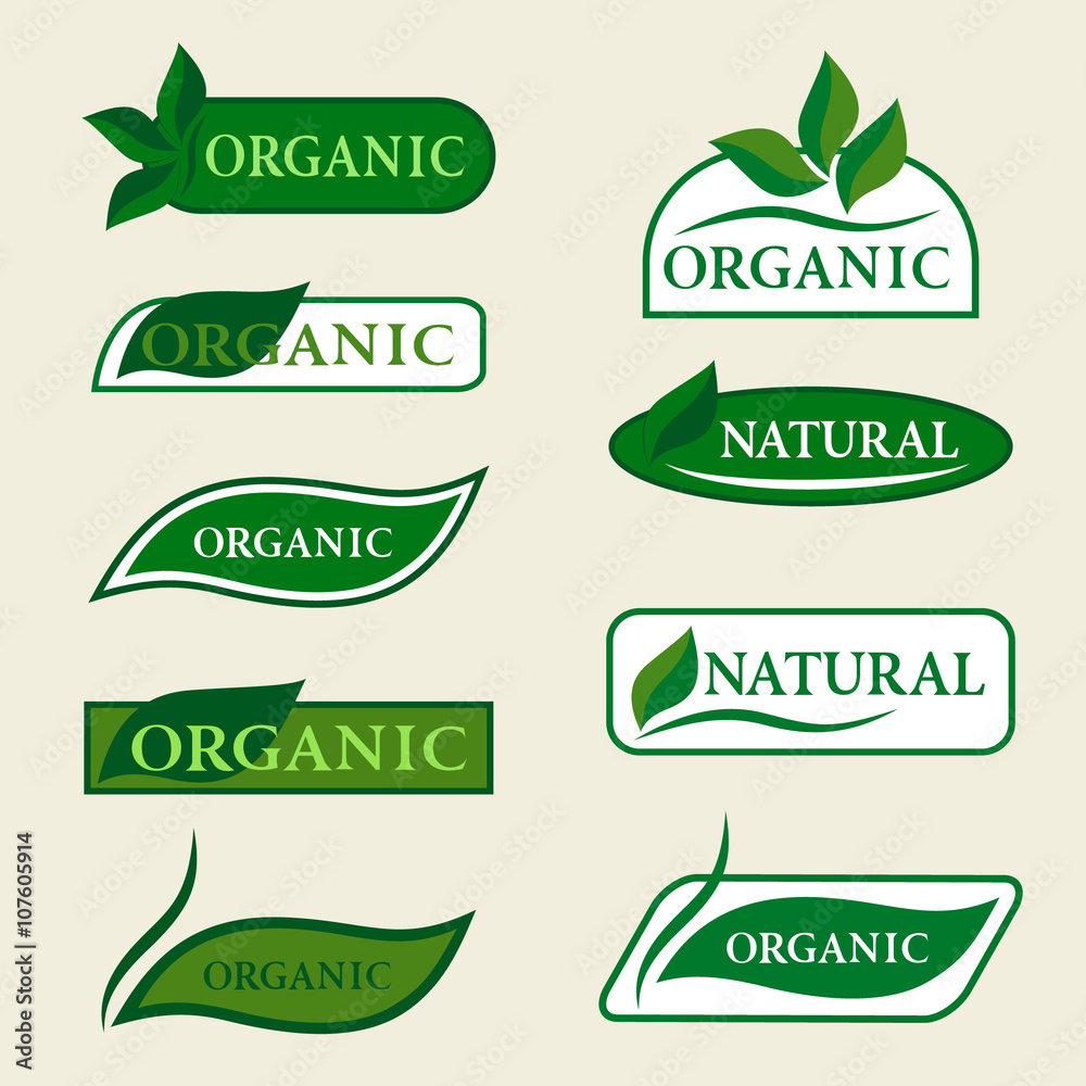 green leaf logo vector  Leaf logo, Vector logo, Organic logo design