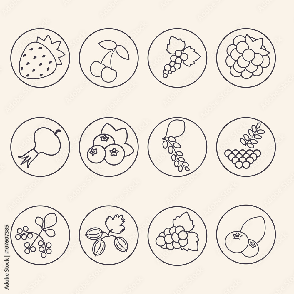 Set of berries icons