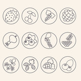 Set of berries icons