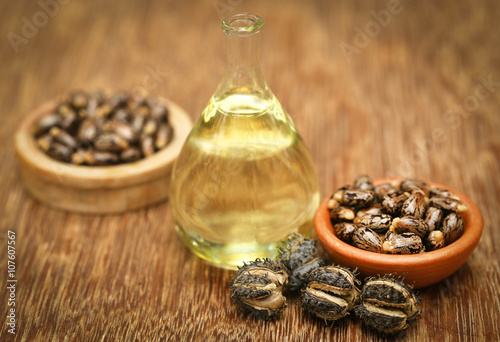 Castor beans and oil