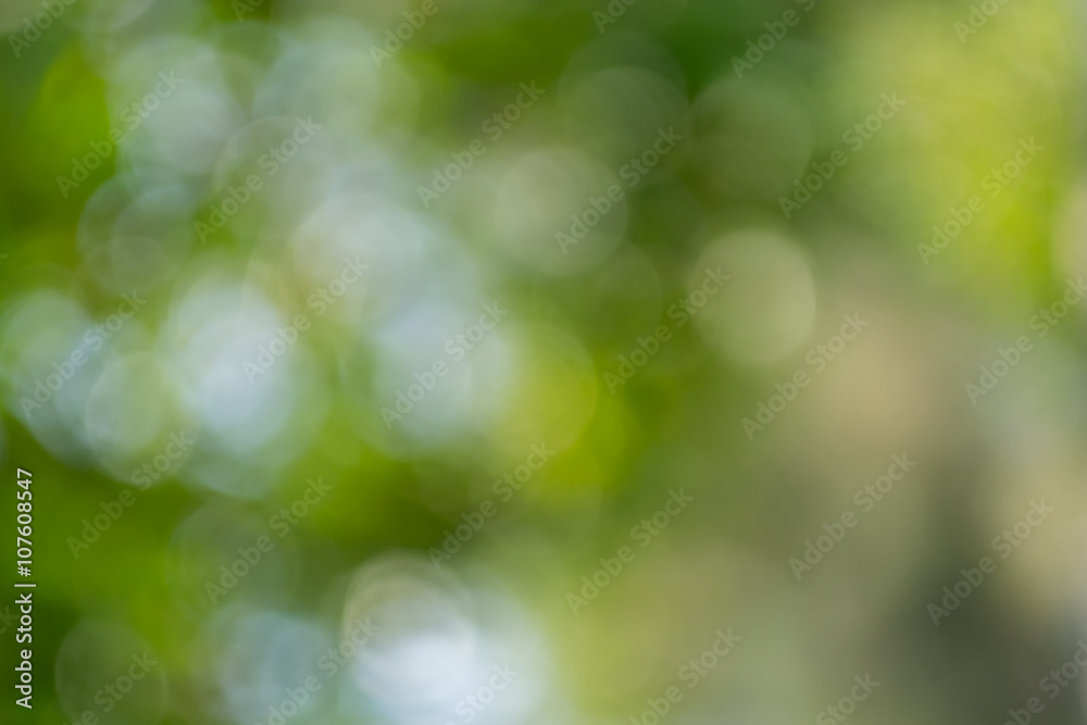 abstract blurred foliage background abstract blurred foliage background