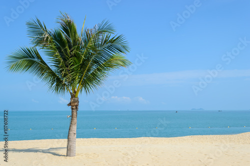 beautiful beach with coconut tree in Koh Samui, Thailand