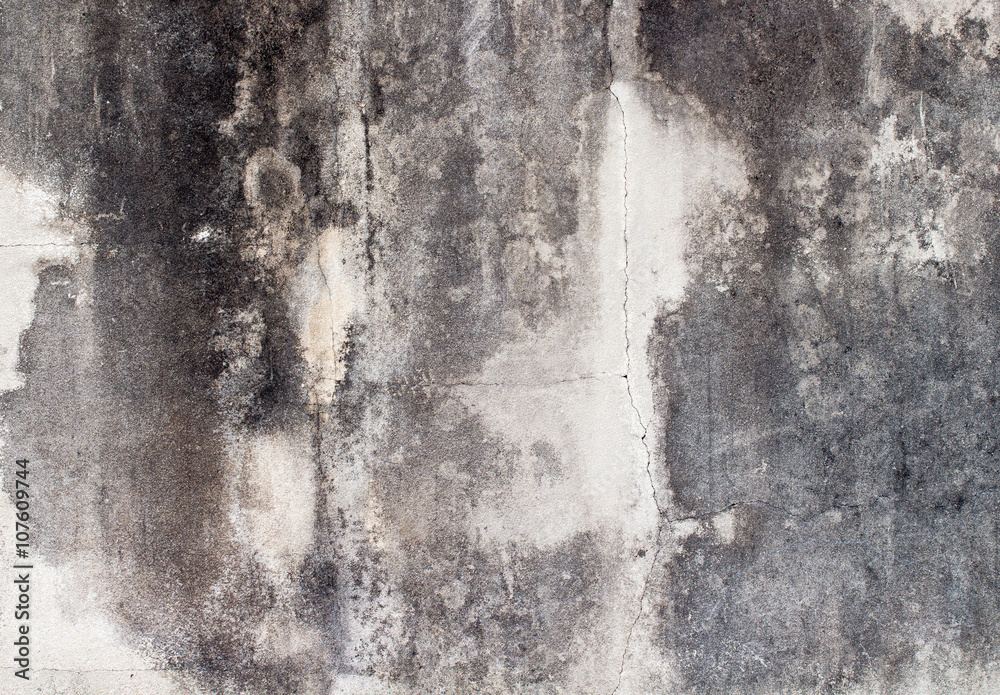 Obraz premium white concrete wall texture