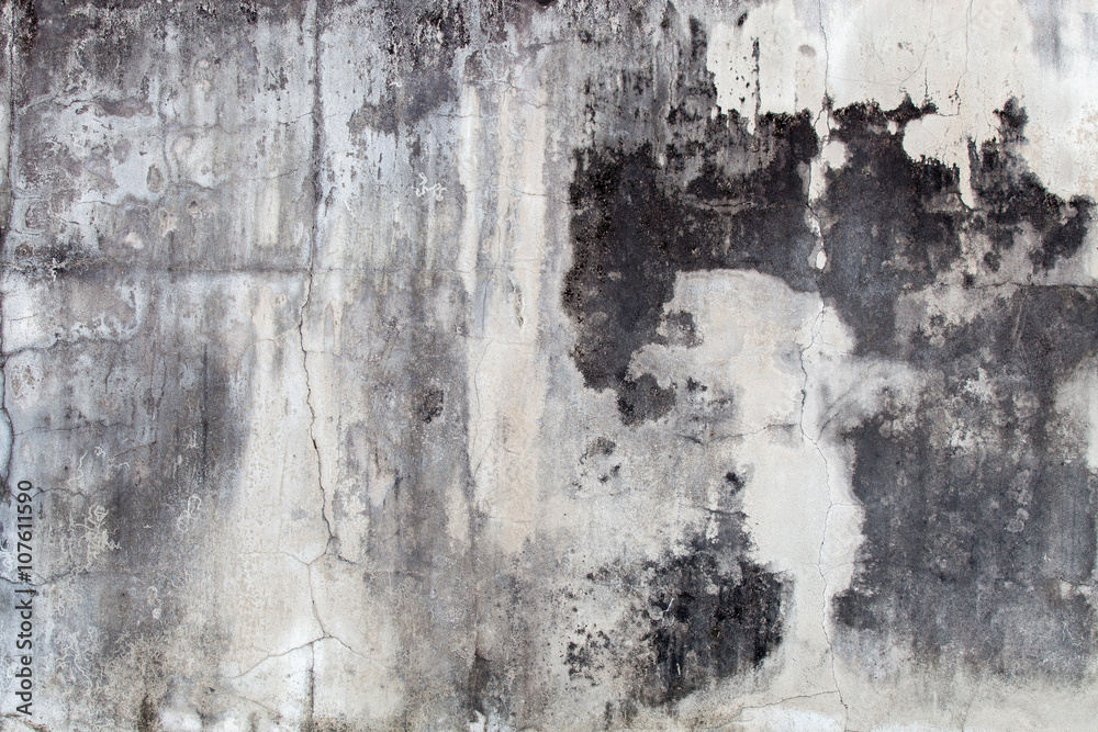 Fototapeta premium white concrete wall texture