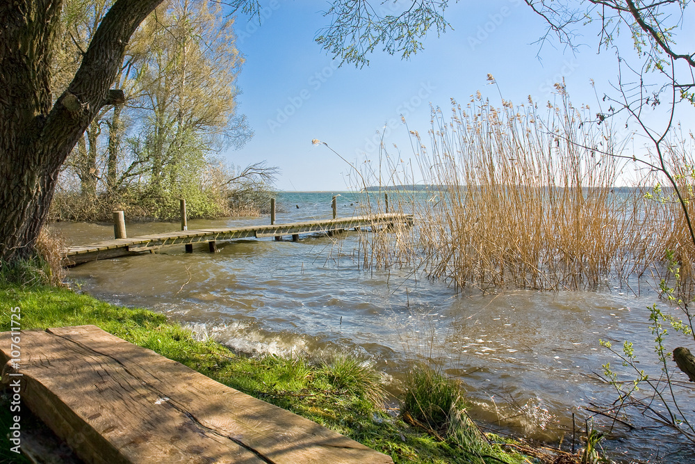 Fototapeta Lakeshore on Müritz in Röbel, Pojezierze M