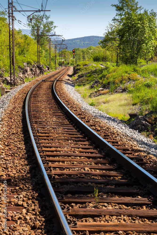 Fototapeta premium Railway in the woods