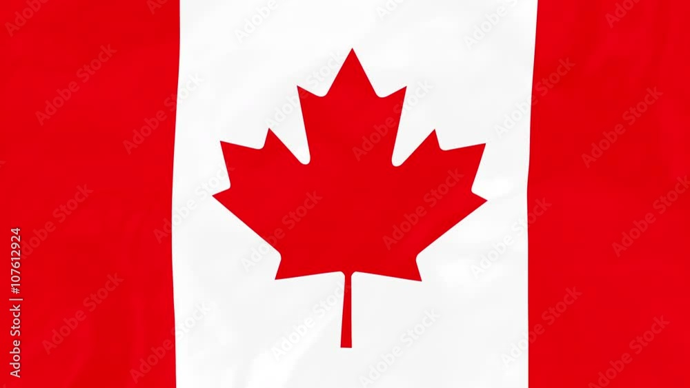 Canadian Flag - 4K Seamless Loop Animation of Waving Flag of Canada Canadian Flag - 4K Seamless Loop Animation of Waving Flag of Canada